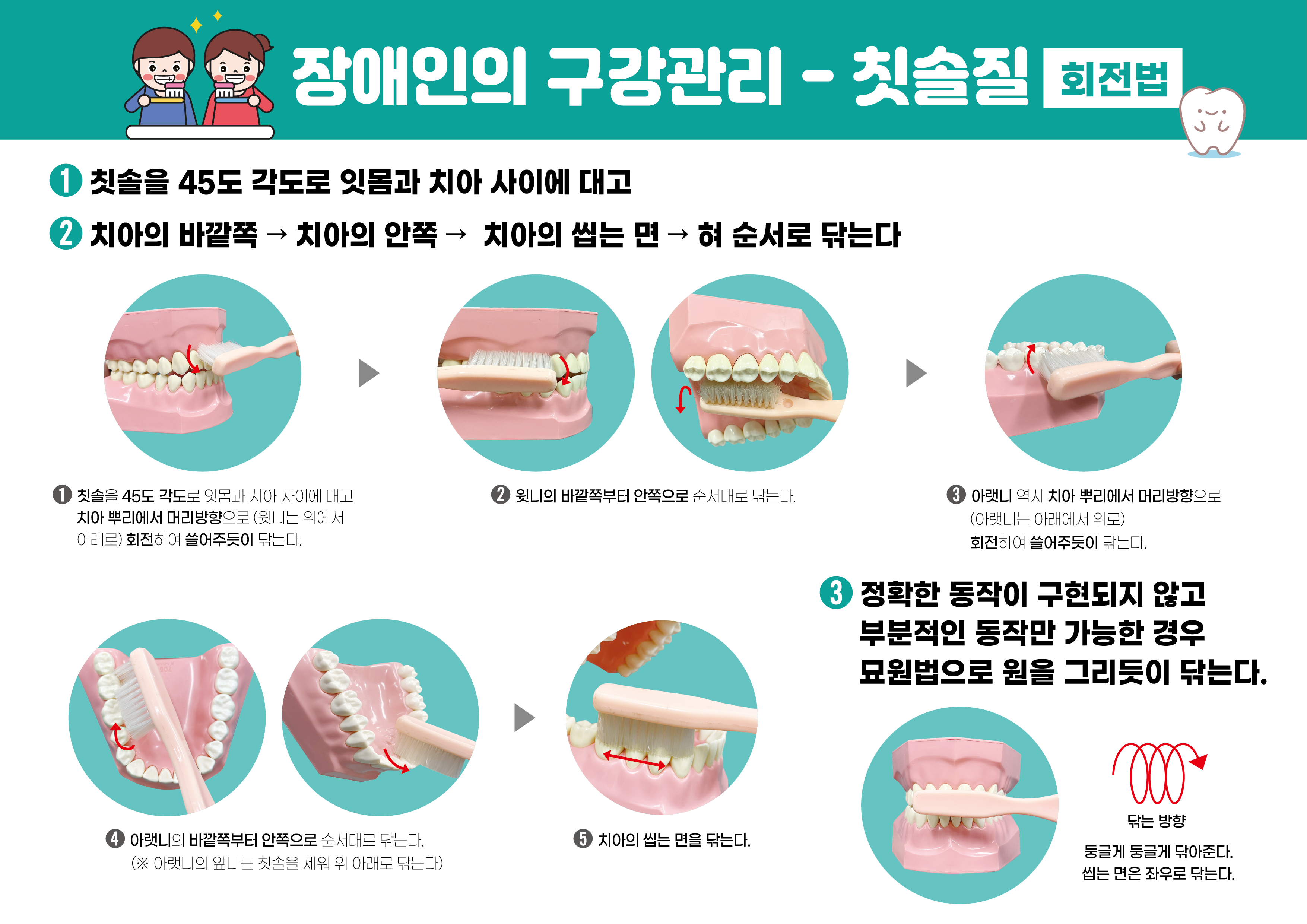 [자석부착형 교육자료] 장애인의 구강관리_칫솔질